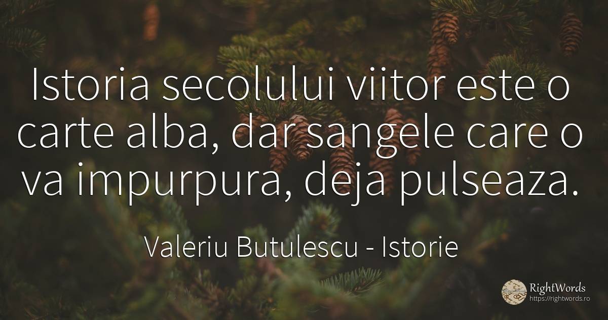 Istoria secolului viitor este o carte alba, dar sangele... - Valeriu Butulescu, citat despre istorie, sânge, viitor