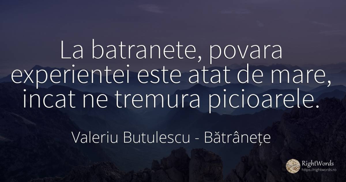 La batranete, povara experientei este atat de mare, incat... - Valeriu Butulescu, citat despre bătrânețe, povară