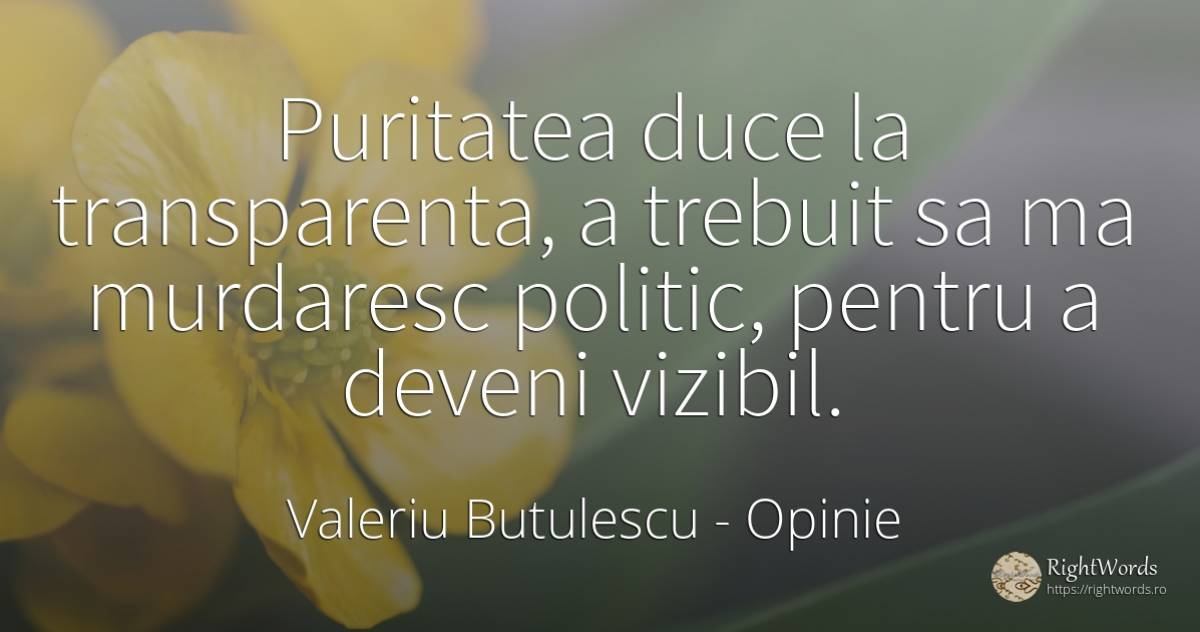 Puritatea duce la transparenta, a trebuit sa ma murdaresc... - Valeriu Butulescu, citat despre opinie