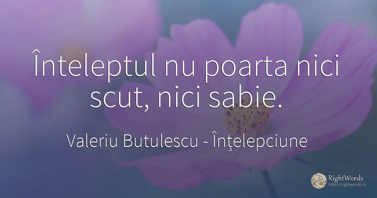 Înteleptul nu poarta nici scut, nici sabie. - Valeriu Butulescu, citat despre înțelepciune