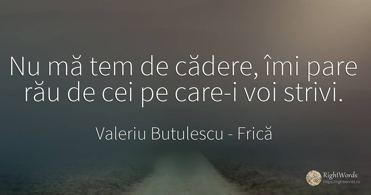 Nu mă tem de cădere, îmi pare rău de cei pe care-i voi... - Valeriu Butulescu, citat despre frică, cădere, rău