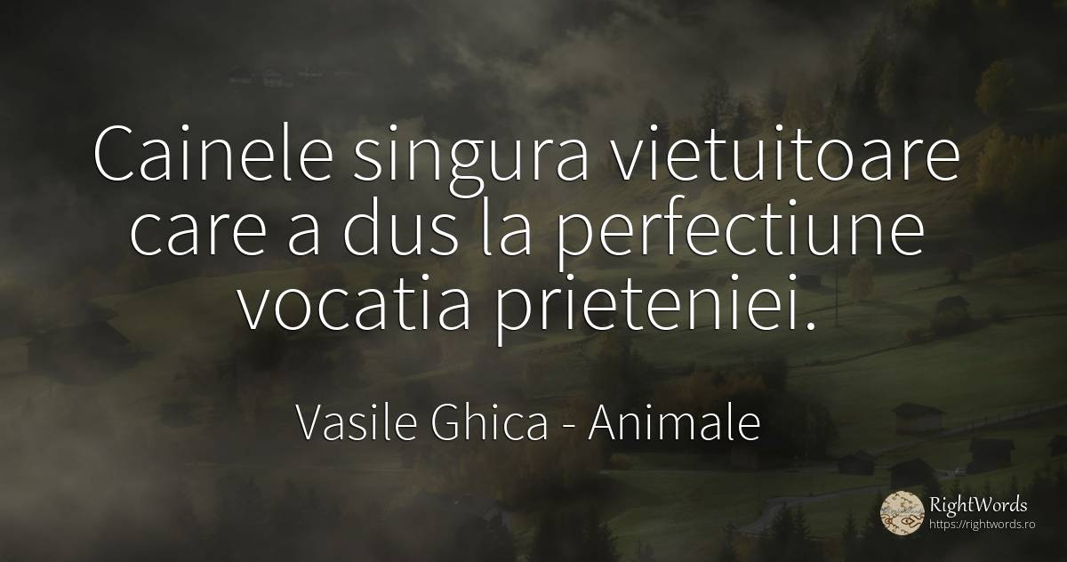 Cainele singura vietuitoare care a dus la perfectiune... - Vasile Ghica, citat despre animale, prietenie, perfecţiune