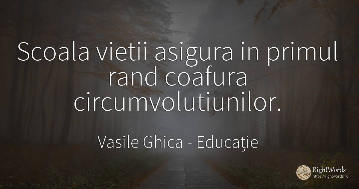 Scoala vietii asigura in primul rand coafura... - Vasile Ghica, citat despre educație, școală, viață