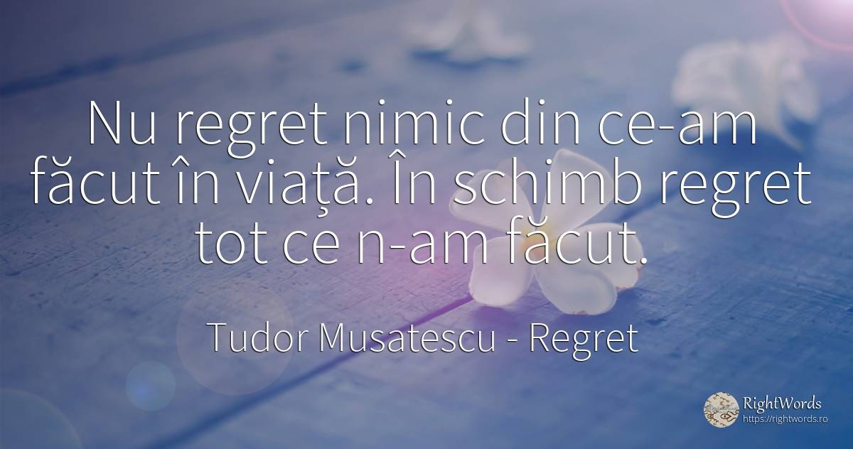 Nu regret nimic din ce-am făcut în viață. În schimb... - Tudor Musatescu, citat despre regret, opinie, nimic, viață