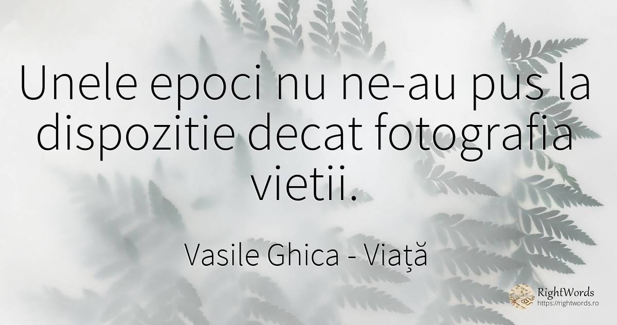 Unele epoci nu ne-au pus la dispozitie decat fotografia... - Vasile Ghica, citat despre viață, artă fotografică
