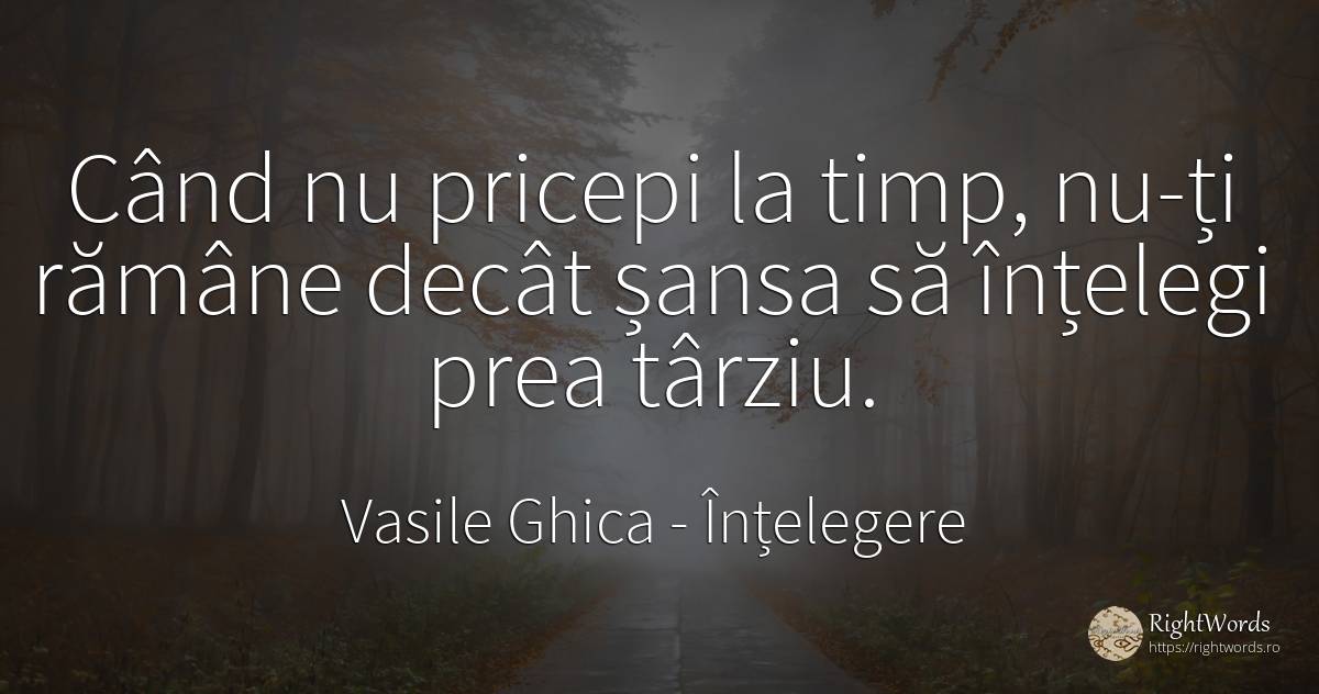 Când nu pricepi la timp, nu-ți rămâne decât șansa să... - Vasile Ghica, citat despre înțelegere, șansă, timp