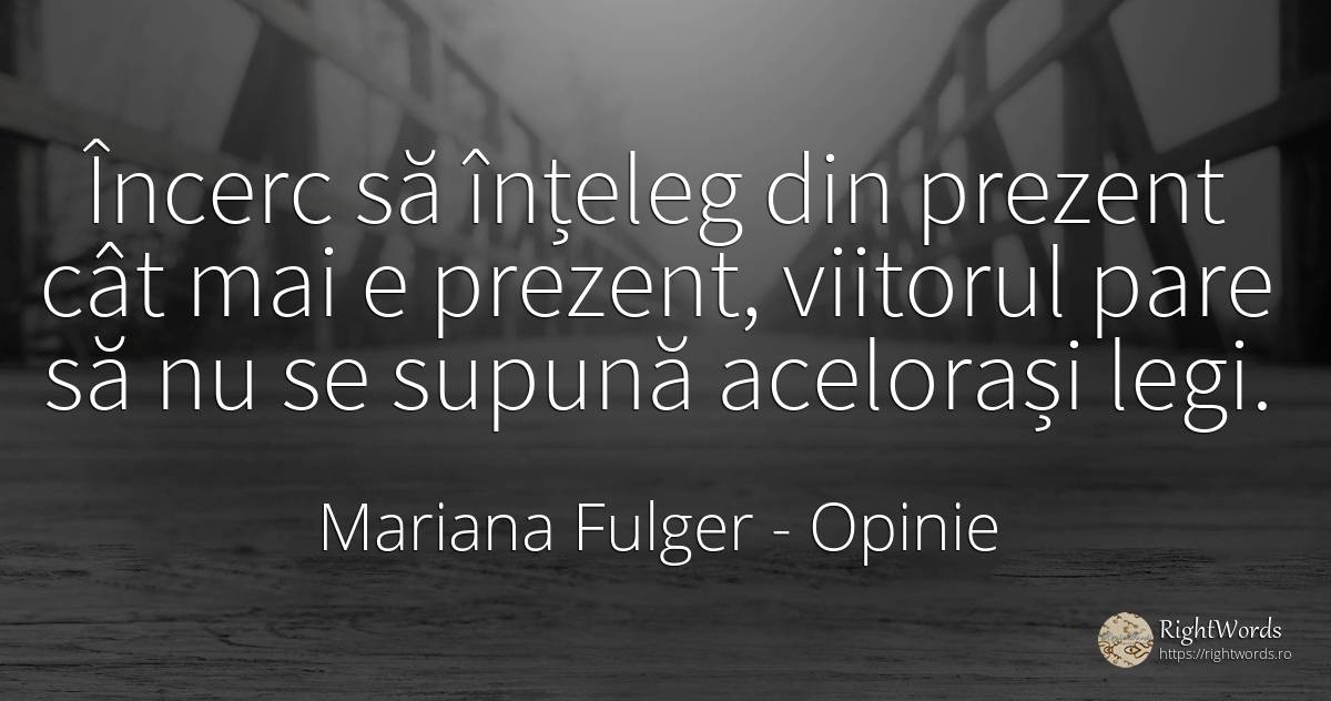Încerc să înțeleg din prezent cât mai e prezent, viitorul... - Mariana Fulger, citat despre opinie, prezent, lege, viitor