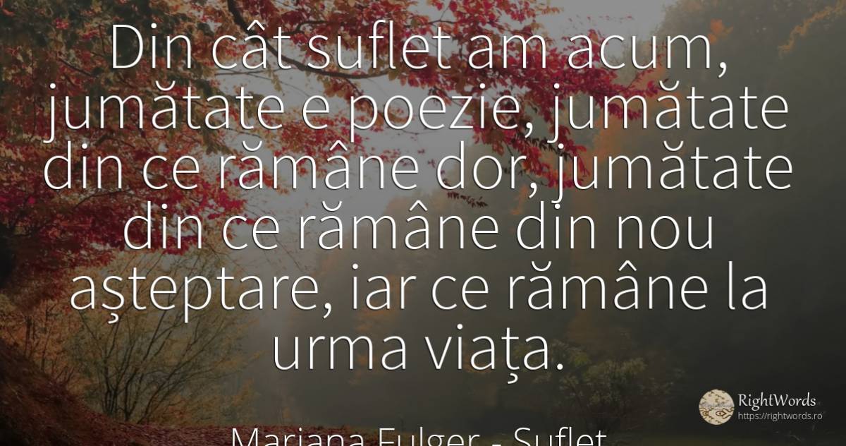 Din cât suflet am acum, jumătate e poezie, jumătate din... - Mariana Fulger, citat despre suflet, așteptare, dor, poezie, viață