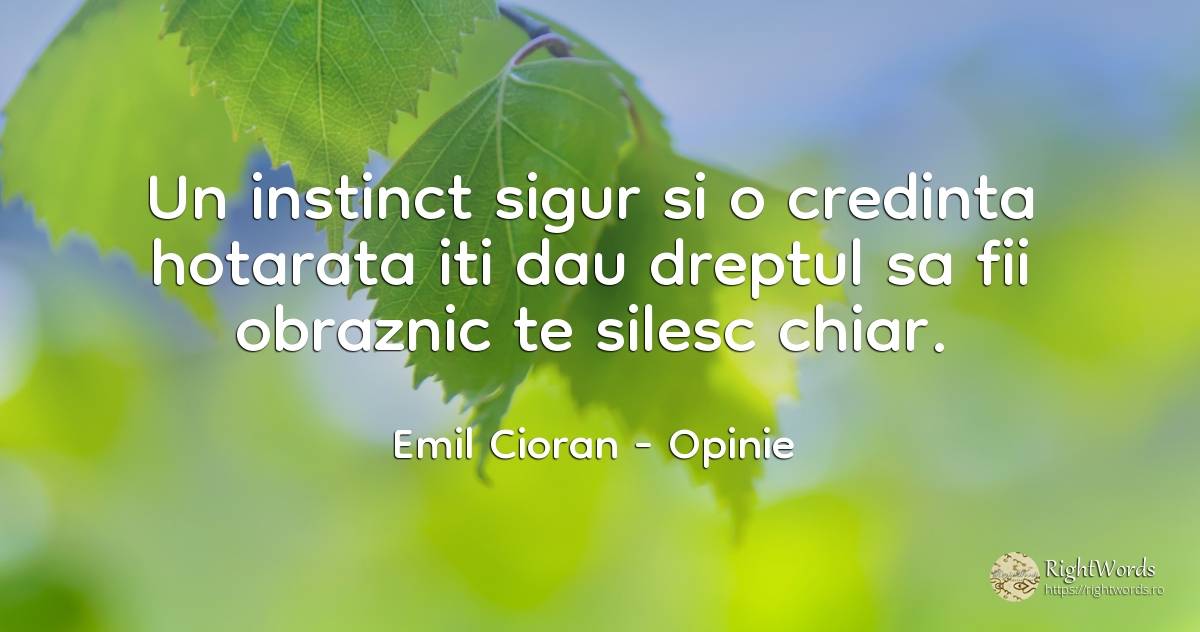 Un instinct sigur si o credinta hotarata iti dau dreptul... - Emil Cioran, citat despre opinie, instinct, credință, siguranță