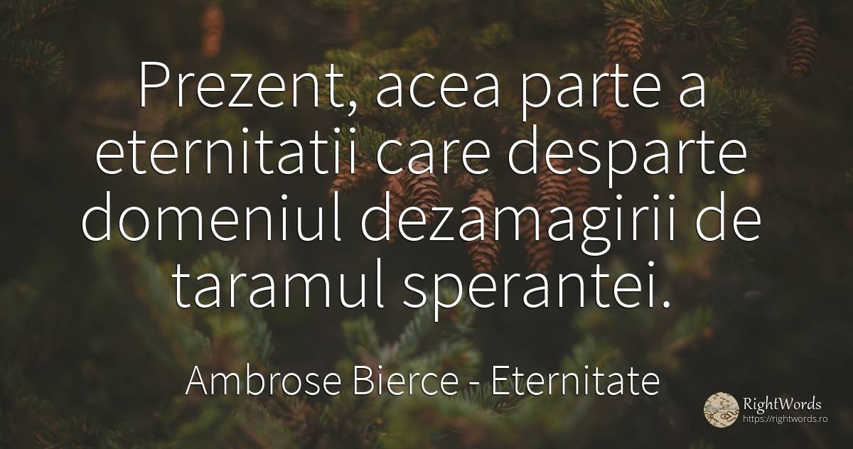 Prezent, acea parte a eternitatii care desparte domeniul... - Ambrose Bierce, citat despre eternitate, prezent