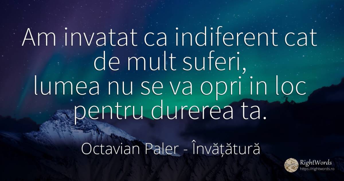 Am invatat ca indiferent cat de mult suferi, lumea nu se... - Octavian Paler, citat despre învățătură, indiferență, durere, lume