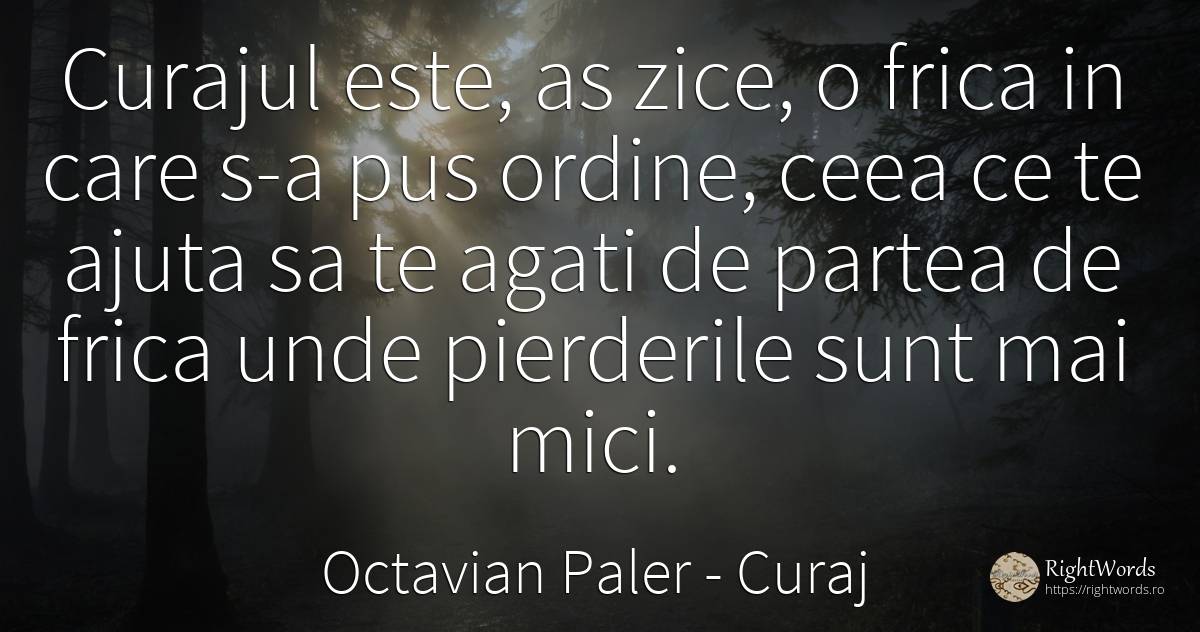 Curajul este, as zice, o frica in care s-a pus ordine, ... - Octavian Paler, citat despre curaj, frică, ordine