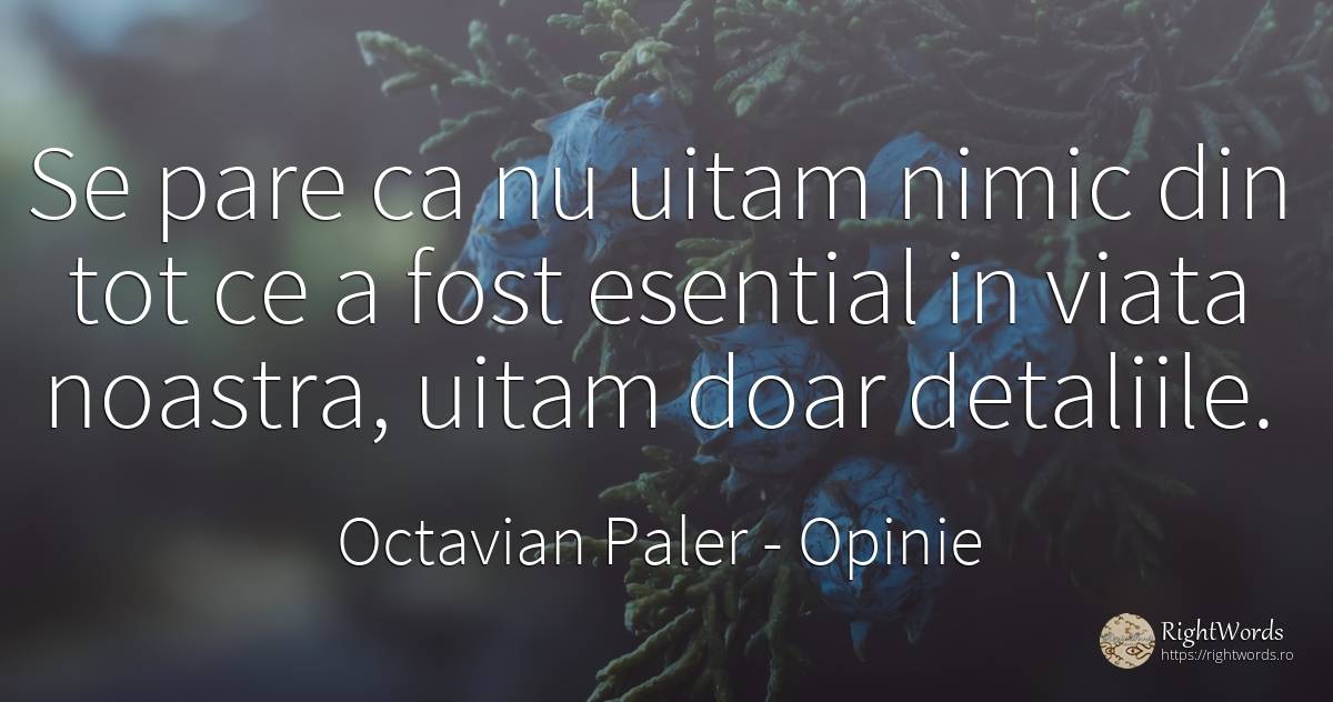Se pare ca nu uitam nimic din tot ce a fost esential in... - Octavian Paler, citat despre opinie, esențial, nimic, viață