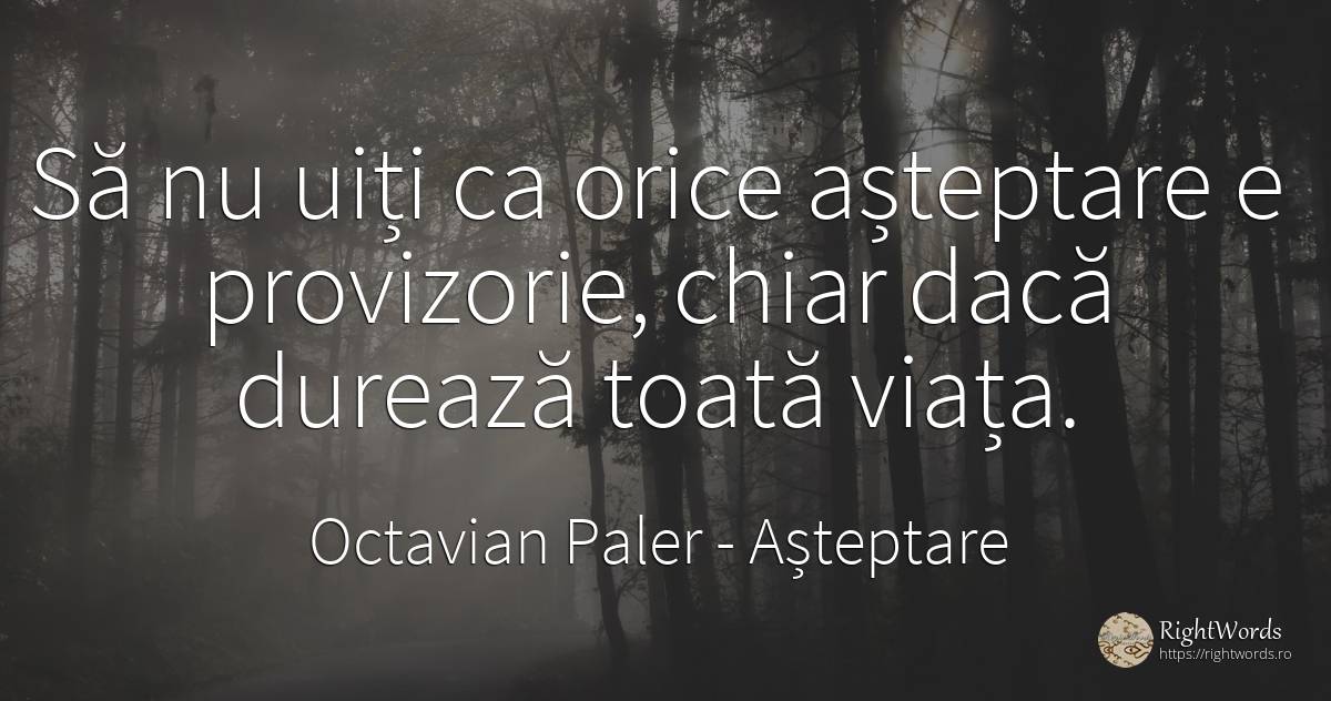 Să nu uiți ca orice așteptare e provizorie, chiar dacă... - Octavian Paler, citat despre așteptare, viață