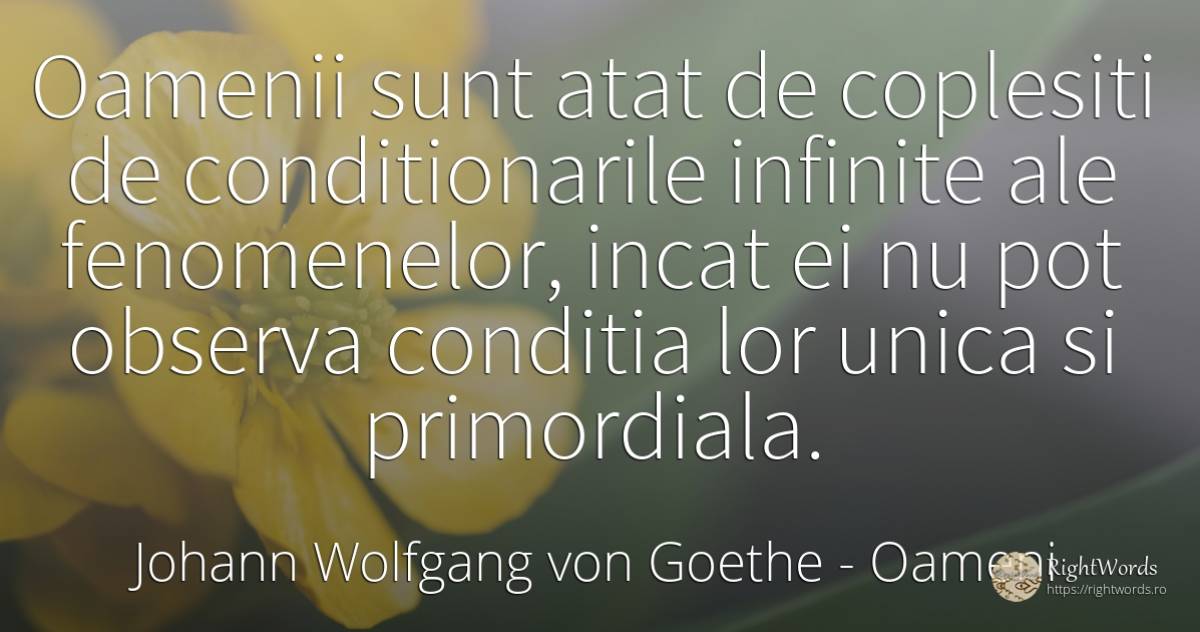 Oamenii sunt atat de coplesiti de conditionarile infinite... - Johann Wolfgang von Goethe, citat despre oameni