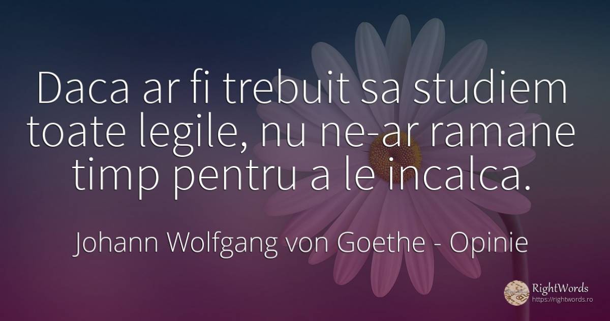 Daca ar fi trebuit sa studiem toate legile, nu ne-ar... - Johann Wolfgang von Goethe, citat despre opinie, lege, timp