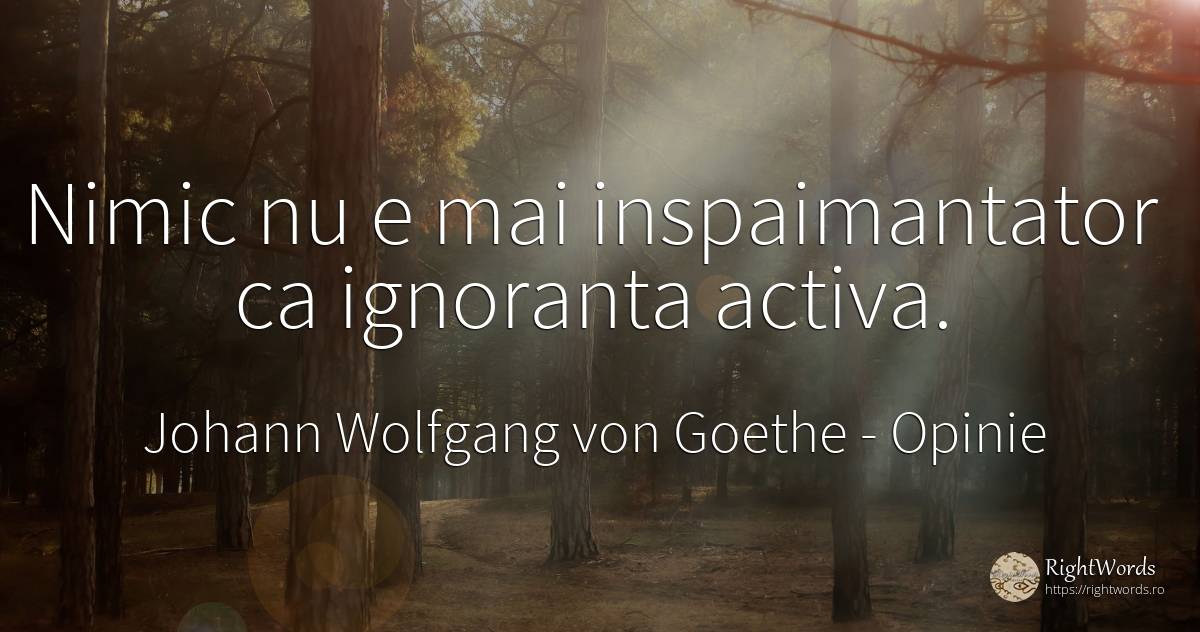 Nimic nu e mai inspaimantator ca ignoranta activa. - Johann Wolfgang von Goethe, citat despre opinie, ignoranță, nimic