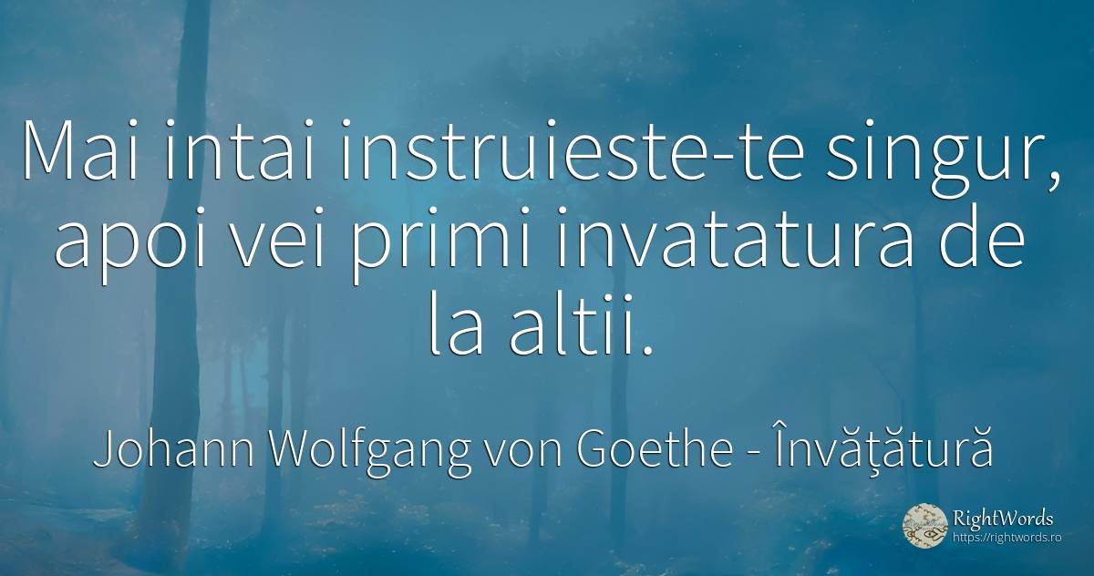 Mai intai instruieste-te singur, apoi vei primi... - Johann Wolfgang von Goethe, citat despre învățătură, singurătate