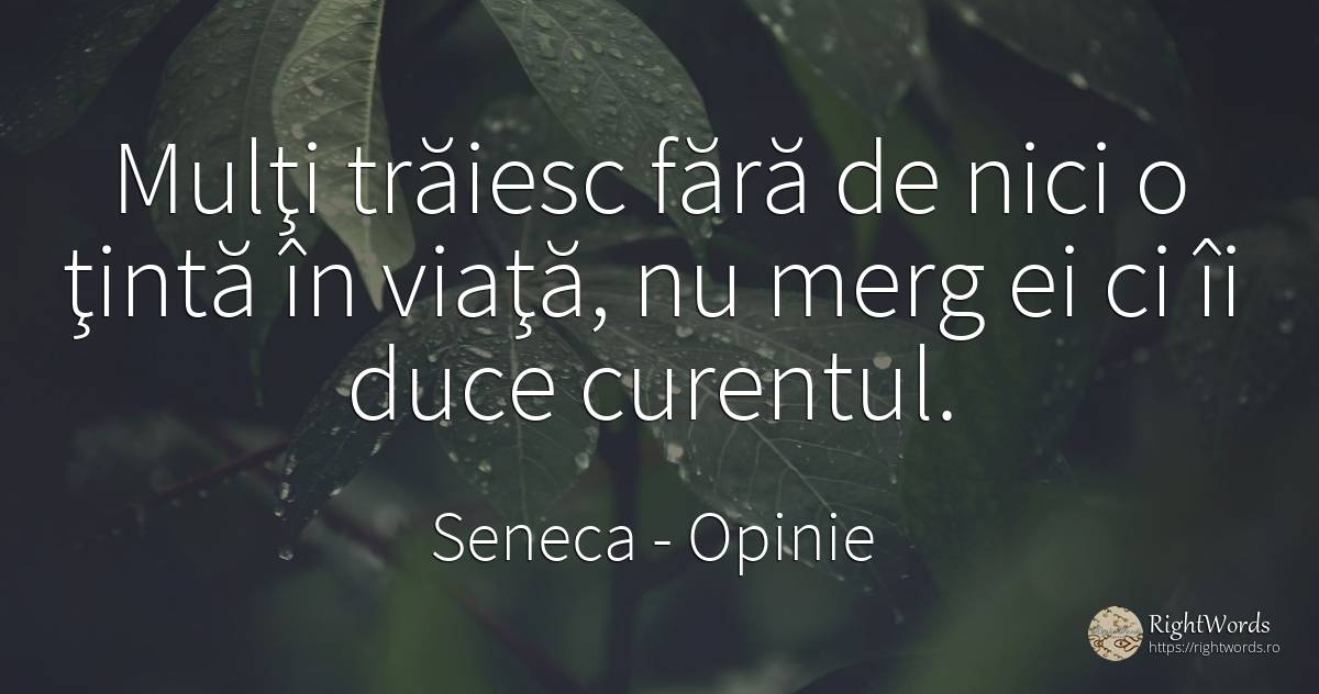 Mulţi trăiesc fără de nici o ţintă în viaţă, nu merg ei... - Seneca (Seneca The Younger), citat despre opinie, viață