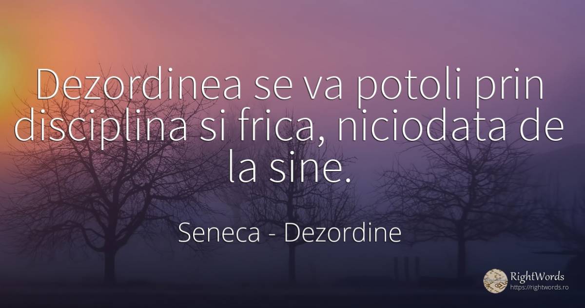 Dezordinea se va potoli prin disciplina si frica, ... - Seneca (Seneca The Younger), citat despre dezordine, frică