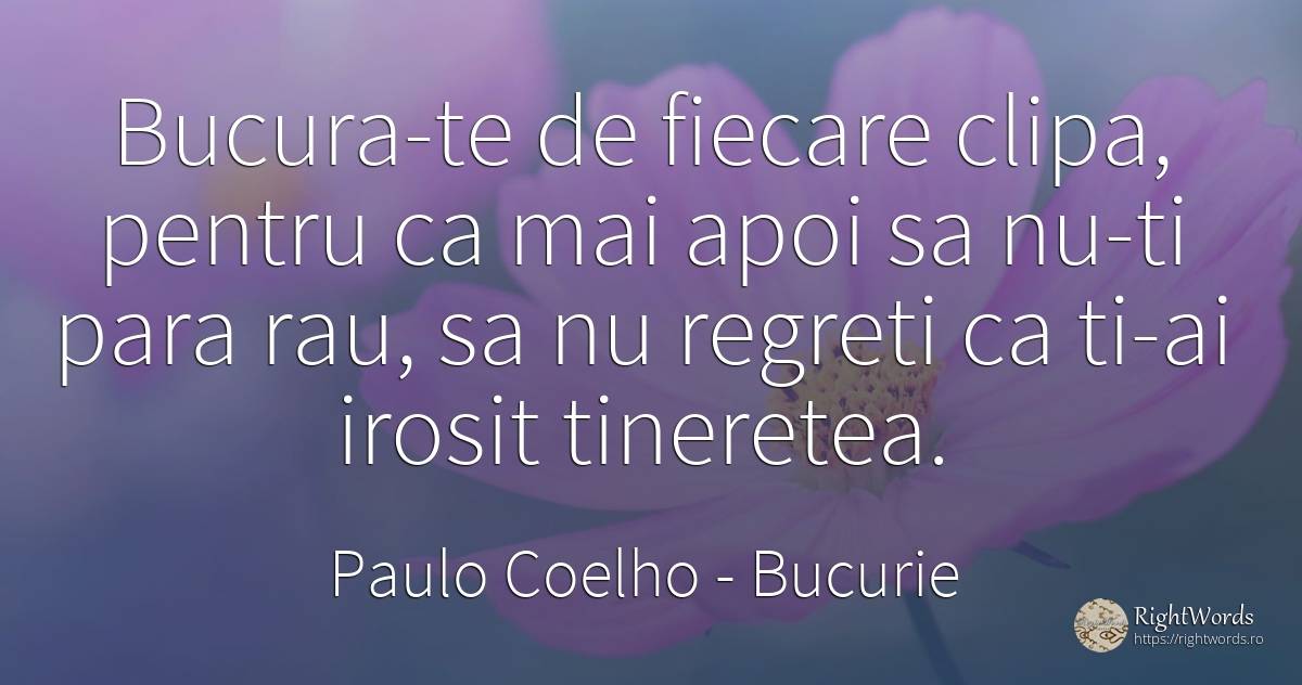 Bucura-te de fiecare clipa, pentru ca mai apoi sa nu-ti... - Paulo Coelho, citat despre bucurie, tinerețe, clipă, rău