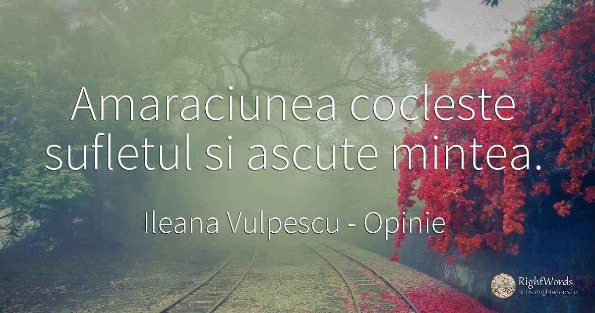 Amaraciunea cocleste sufletul si ascute mintea. - Ileana Vulpescu, citat despre opinie, minte, suflet, viață
