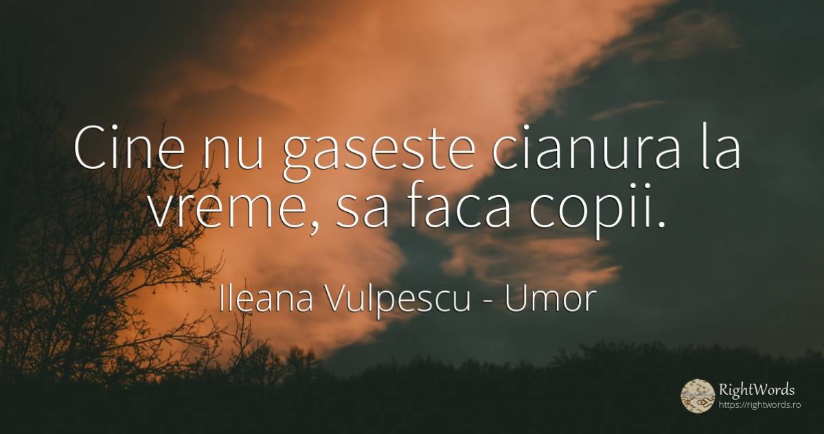 Cine nu gaseste cianura la vreme, sa faca copii. - Ileana Vulpescu, citat despre umor, copii, vreme, artă, artă fotografică