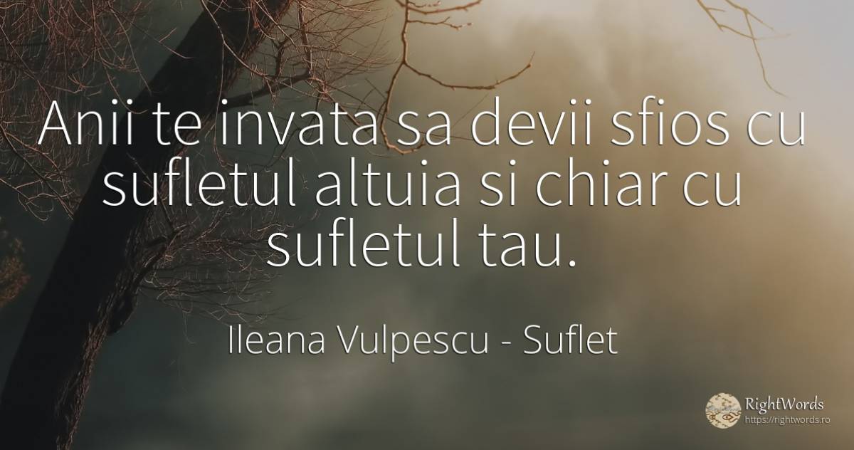 Anii te invata sa devii sfios cu sufletul altuia si chiar... - Ileana Vulpescu, citat despre suflet, artă, artă fotografică