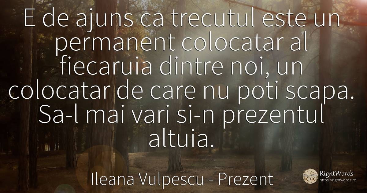 E de ajuns ca trecutul este un permanent colocatar al... - Ileana Vulpescu, citat despre prezent, trecut, artă, artă fotografică