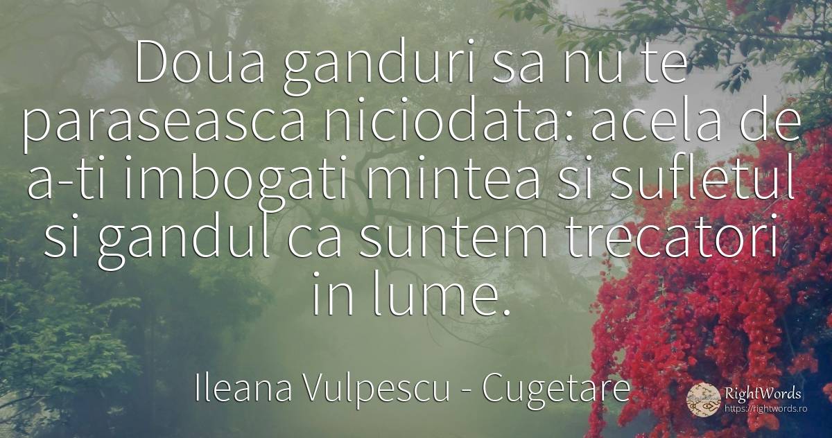 Doua ganduri sa nu te paraseasca niciodata: acela de a-ti... - Ileana Vulpescu, citat despre cugetare, minte, suflet, artă, artă fotografică, lume