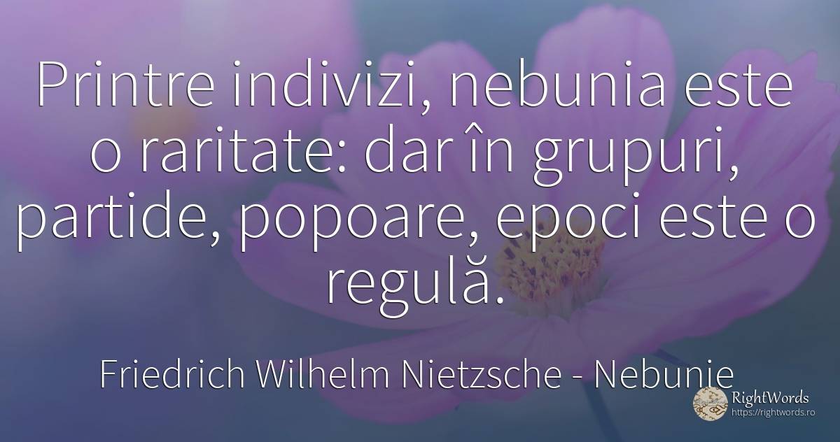 Printre indivizi, nebunia este o raritate: dar în... - Friedrich Wilhelm Nietzsche, citat despre nebunie, națiune, reguli