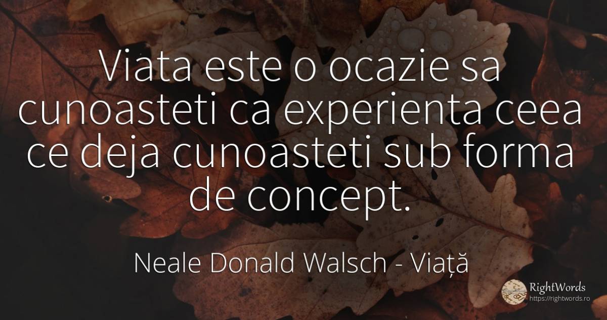 Viata este o ocazie sa cunoasteti ca experienta ceea ce... - Neale Donald Walsch, citat despre viață, conversație, experiență, dumnezeu