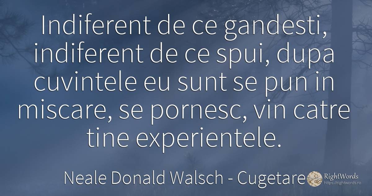 Indiferent de ce gandesti, indiferent de ce spui, dupa... - Neale Donald Walsch, citat despre cugetare, indiferență, conversație, vin, cuvânt, dumnezeu