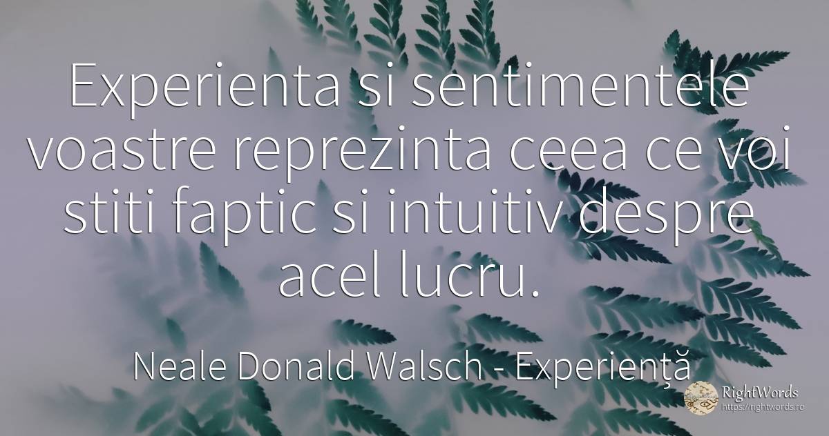 Experienta si sentimentele voastre reprezinta ceea ce voi... - Neale Donald Walsch, citat despre experiență, sentimente, conversație, dumnezeu