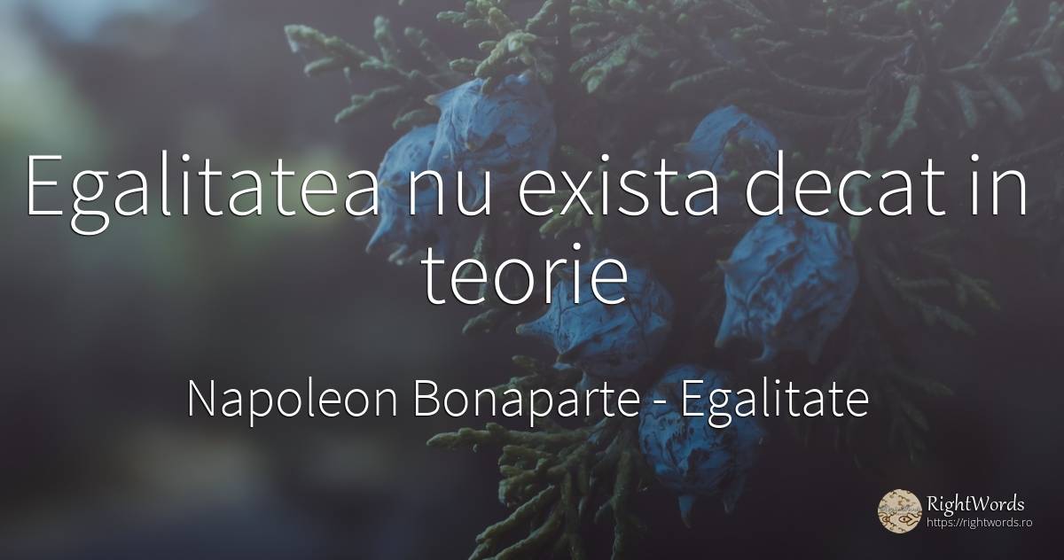 Egalitatea nu exista decat in teorie - Napoleon Bonaparte, citat despre egalitate