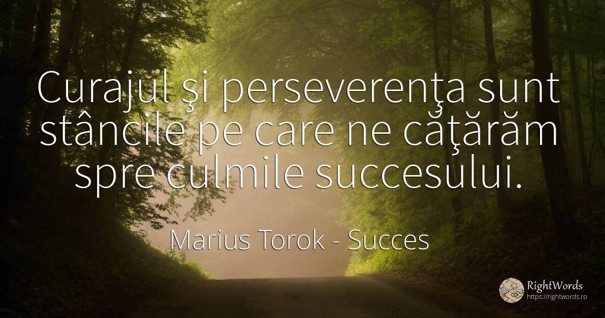 Curajul şi perseverenţa sunt stâncile pe care ne căţărăm... - Marius Torok (Darius Domcea), citat despre succes, perseverență, curaj