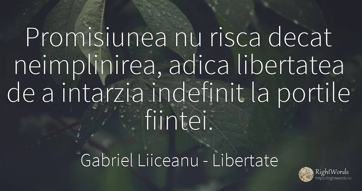 Promisiunea nu risca decat neimplinirea, adica libertatea... - Gabriel Liiceanu, citat despre libertate, promisiune, risc, iubire