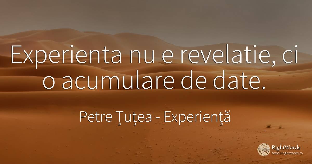 Experienta nu e revelatie, ci o acumulare de date. - Petre Țuțea (Socrate al românilor), citat despre experiență, revelaţie