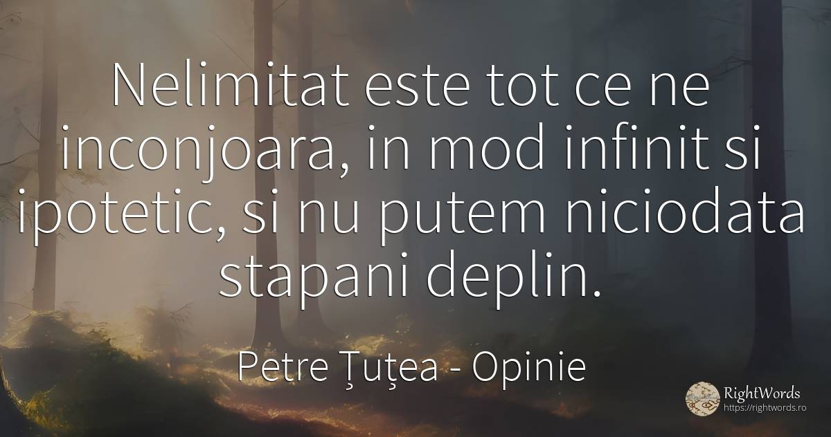 Nelimitat este tot ce ne inconjoara, in mod infinit si... - Petre Țuțea (Socrate al românilor), citat despre opinie, infinit
