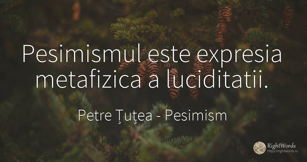 Pesimismul este expresia metafizica a luciditatii. - Petre Țuțea (Socrate al românilor), citat despre pesimism