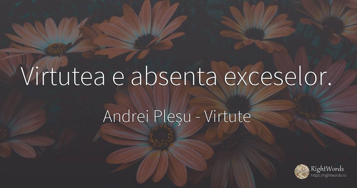 Virtutea e absenta exceselor. - Andrei Pleșu, citat despre virtute, absența