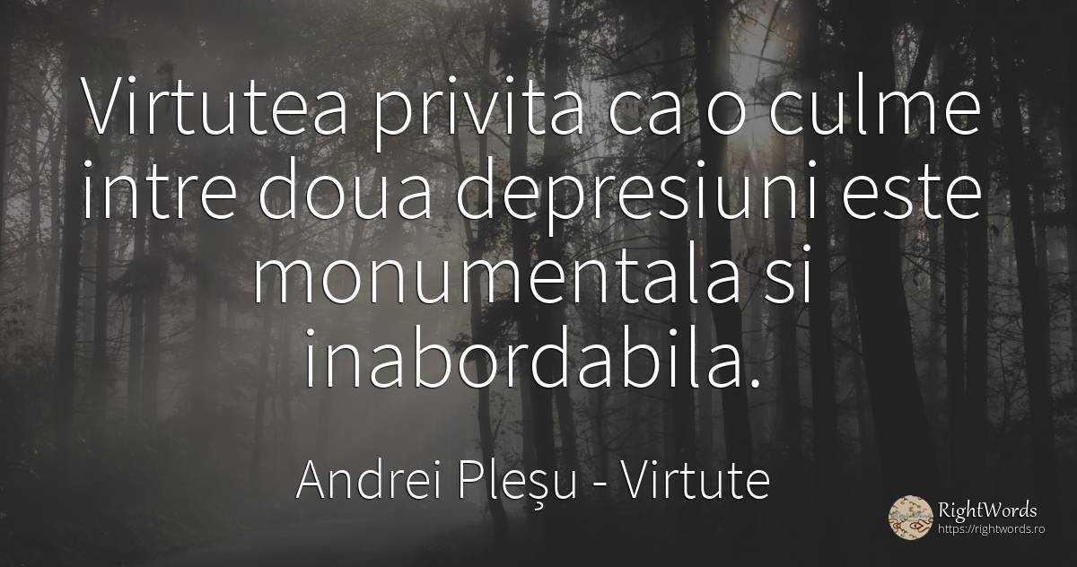 Virtutea privita ca o culme intre doua depresiuni este... - Andrei Pleșu, citat despre virtute