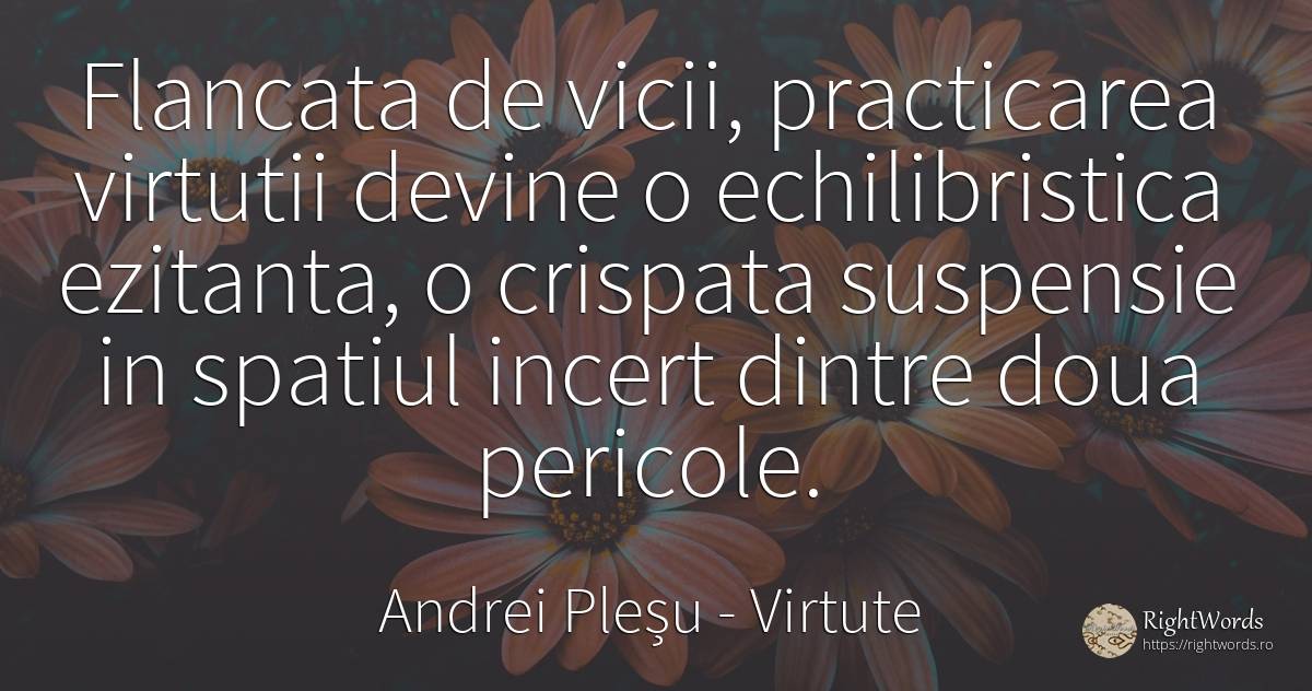 Flancata de vicii, practicarea virtutii devine o... - Andrei Pleșu, citat despre virtute, pericol