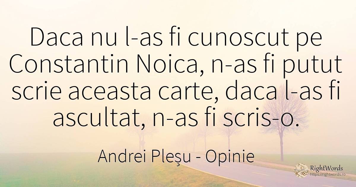 Daca nu l-as fi cunoscut pe Constantin Noica, n-as fi... - Andrei Pleșu, citat despre opinie, scris
