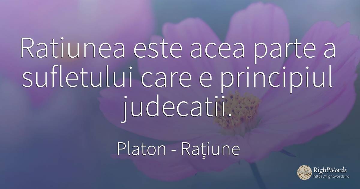 Ratiunea este acea parte a sufletului care e principiul... - Platon, citat despre rațiune, judecată, principiu, suflet