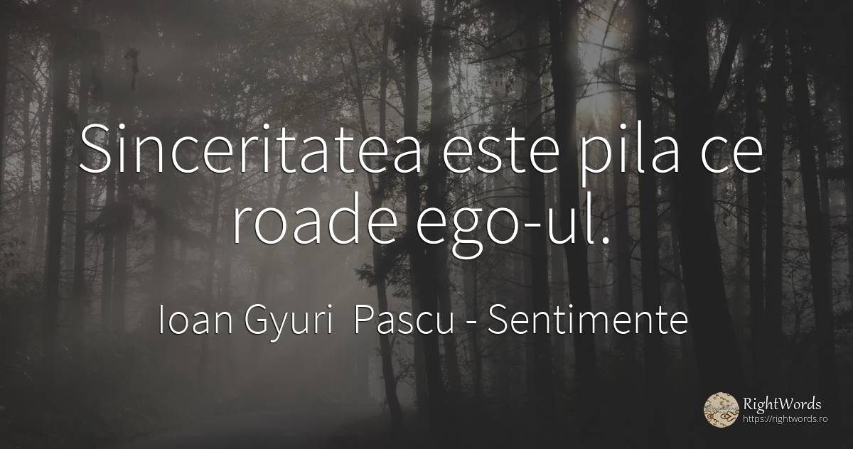 Sinceritatea este pila ce roade ego-ul. - Ioan Gyuri Pascu, citat despre sentimente, sinceritate, căutare