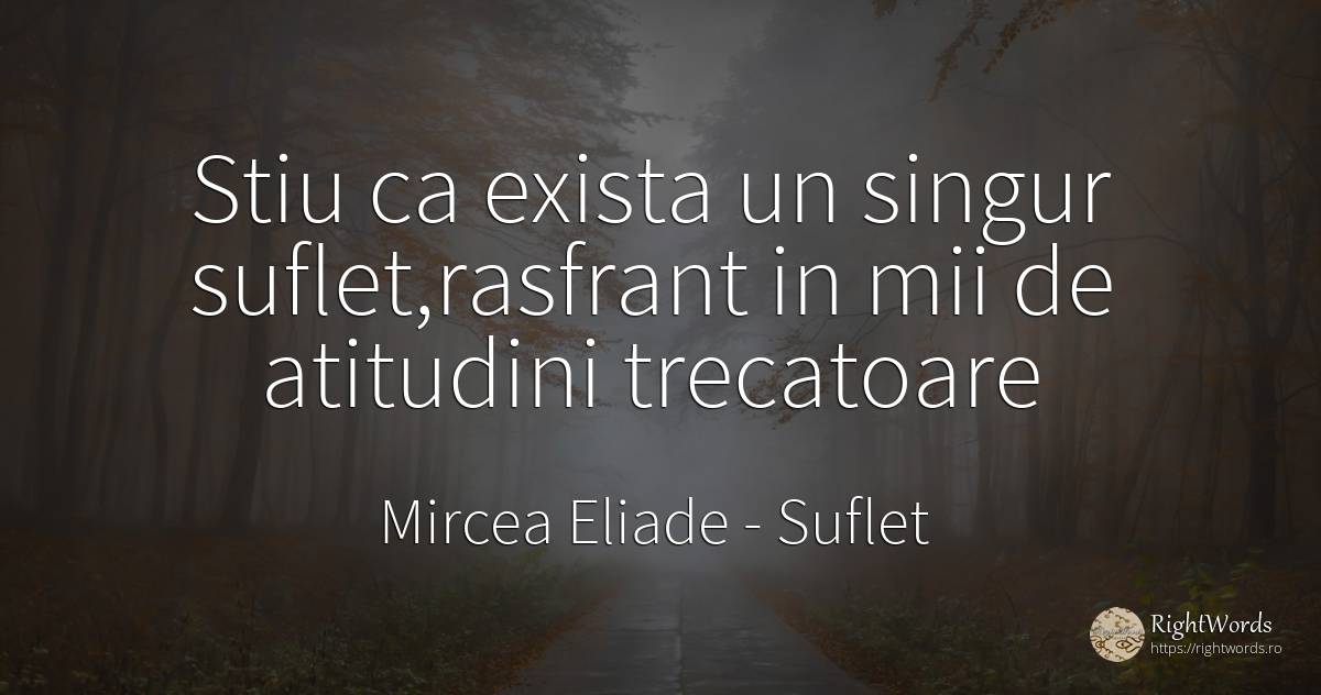Stiu ca exista un singur suflet, rasfrant in mii de... - Mircea Eliade, citat despre suflet, singurătate