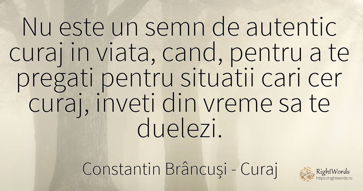 Nu este un semn de autentic curaj in viata, cand, pentru... - Constantin Brâncuși, citat despre curaj, vreme, cer, viață
