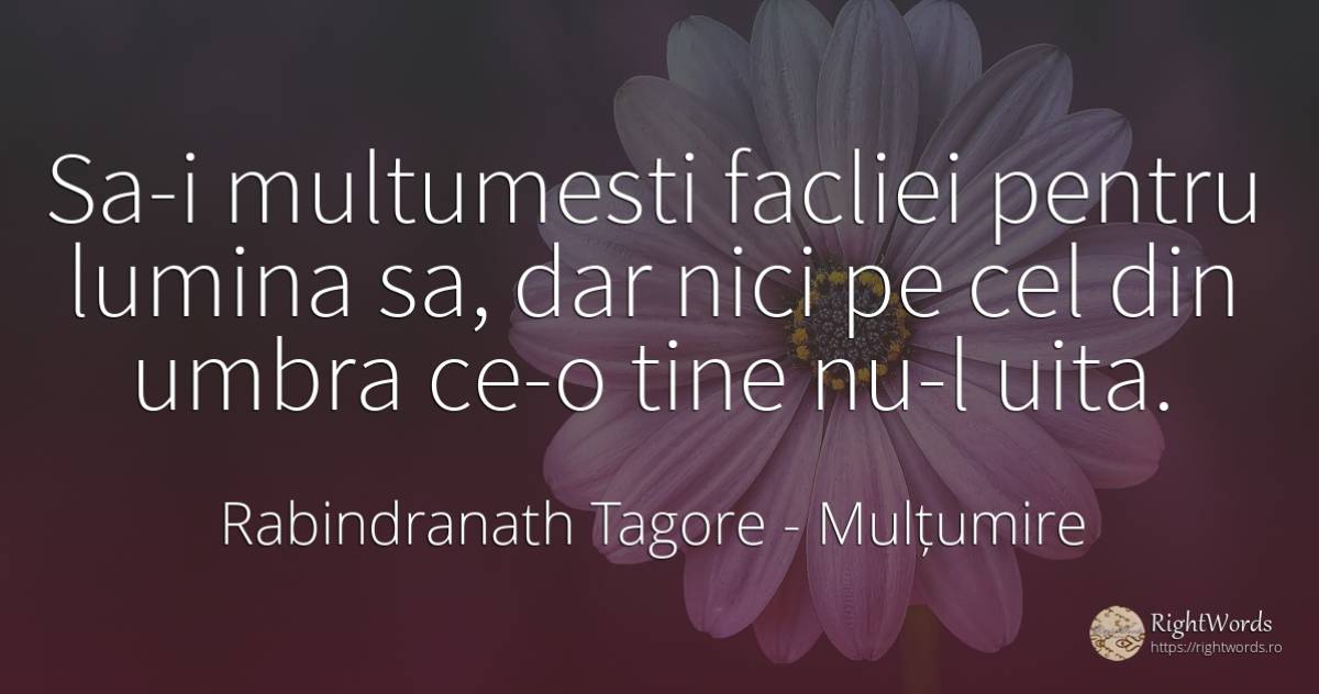 Sa-i multumesti facliei pentru lumina sa, dar nici pe cel... - Rabindranath Tagore, citat despre mulțumire, umbră, uitare, lumină