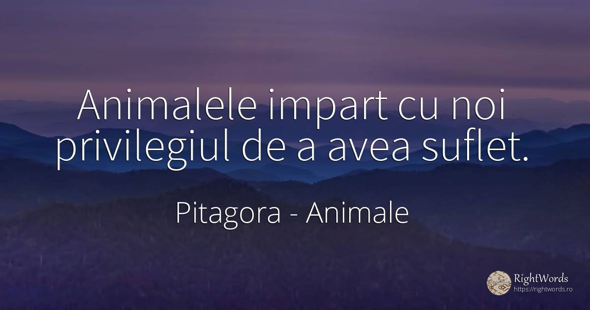 Animalele impart cu noi privilegiul de a avea suflet. - Pitagora (Pythagore), citat despre animale, suflet